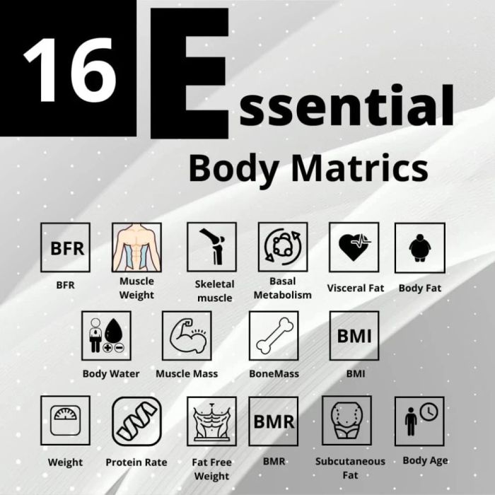 Smart Bluetooth Digital Body Scale